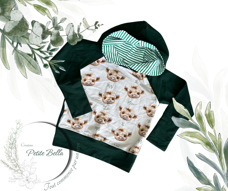 *** précommande hoodie évolutif highland/vert forêt ****