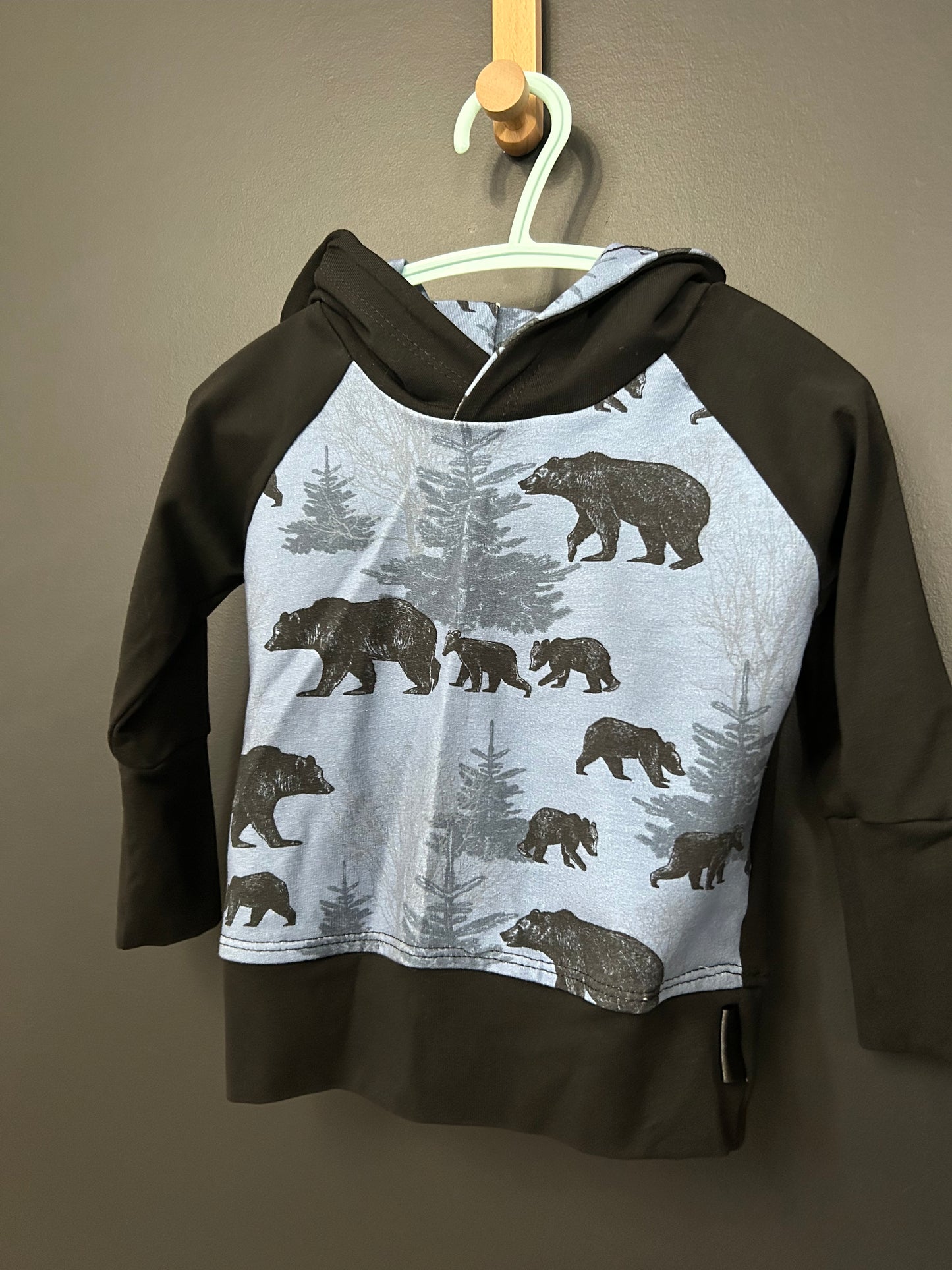 Hoodies évolutif ours fond bleu