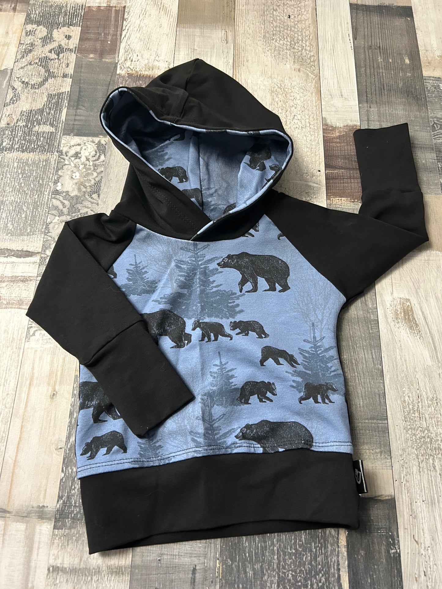 Hoodies évolutif ours fond bleu